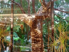 -樾餐厅泰式海鲜火锅(民歌湖店)