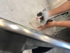 -PETKIT小佩宠物(古北店)
