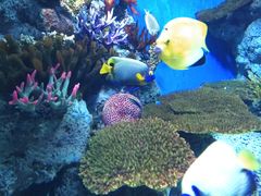 -福州罗源湾海洋世界旅游区