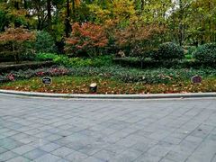 -徐家汇源景区-衡山公园