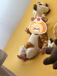 -玛瑞莎孕婴童摄影到家拍