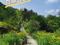 -幽岚山·童话森林
