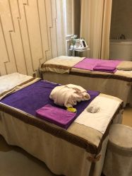 -悦芳庭美肤美体品牌集合店