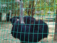 -武汉紫薇都市田园