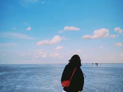 -南汇嘴观海公园