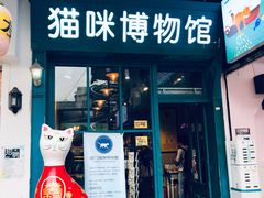 -猫咪博物馆(顶澳仔猫街店)
