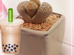 -曲阳花鸟市场(曲阳路店)