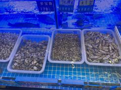 -启东小海鲜(庄先湾路1号店)