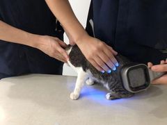 -拜鲁耶动物诊疗中心·宠家动物医院