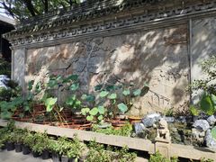 -上海醉白池公园