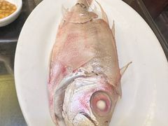 -吴记富苑(朝阳店)