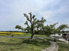 -良渚古城遗址公园