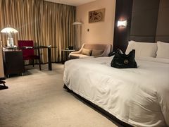 -上海金陵紫金山大酒店