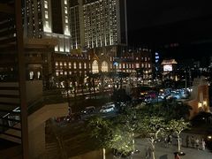-澳门威尼斯人综合度假区