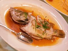 -绿城千岛湖喜来登度假酒店