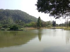 -南沙蒲洲花园