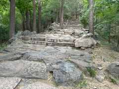 -北京鹫峰国家森林公园