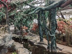 -鄂尔多斯野生动物园