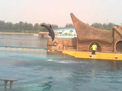 -秦皇岛乐岛海洋王国