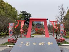 -红梅公园