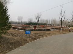 -东郊湿地公园
