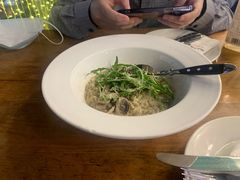 -bluefrog蓝蛙(皇庭广场店)