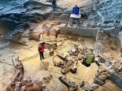 -自贡恐龙博物馆