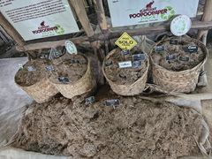 -大象粑粑造纸公园