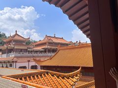 -深圳仙湖植物园