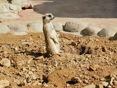 -杭州野生动物世界