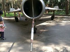 -崇明东平国家森林公园烧烤房车露营地