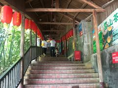 -鲤鱼塘农家山庄