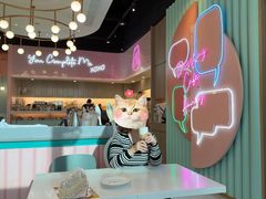 -Dazzling Cafe 蜜糖吐司专卖店