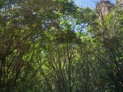-龙门涧景区