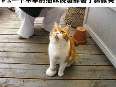 -菲乐餐厅(三十年经营·湖滨路店)