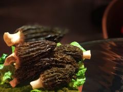 -凤园椰珍·臻品椰子鸡(保利时光里店)