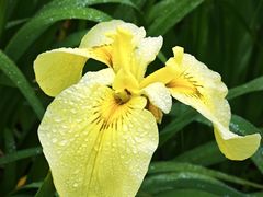 -上海植物园-4号门售票处