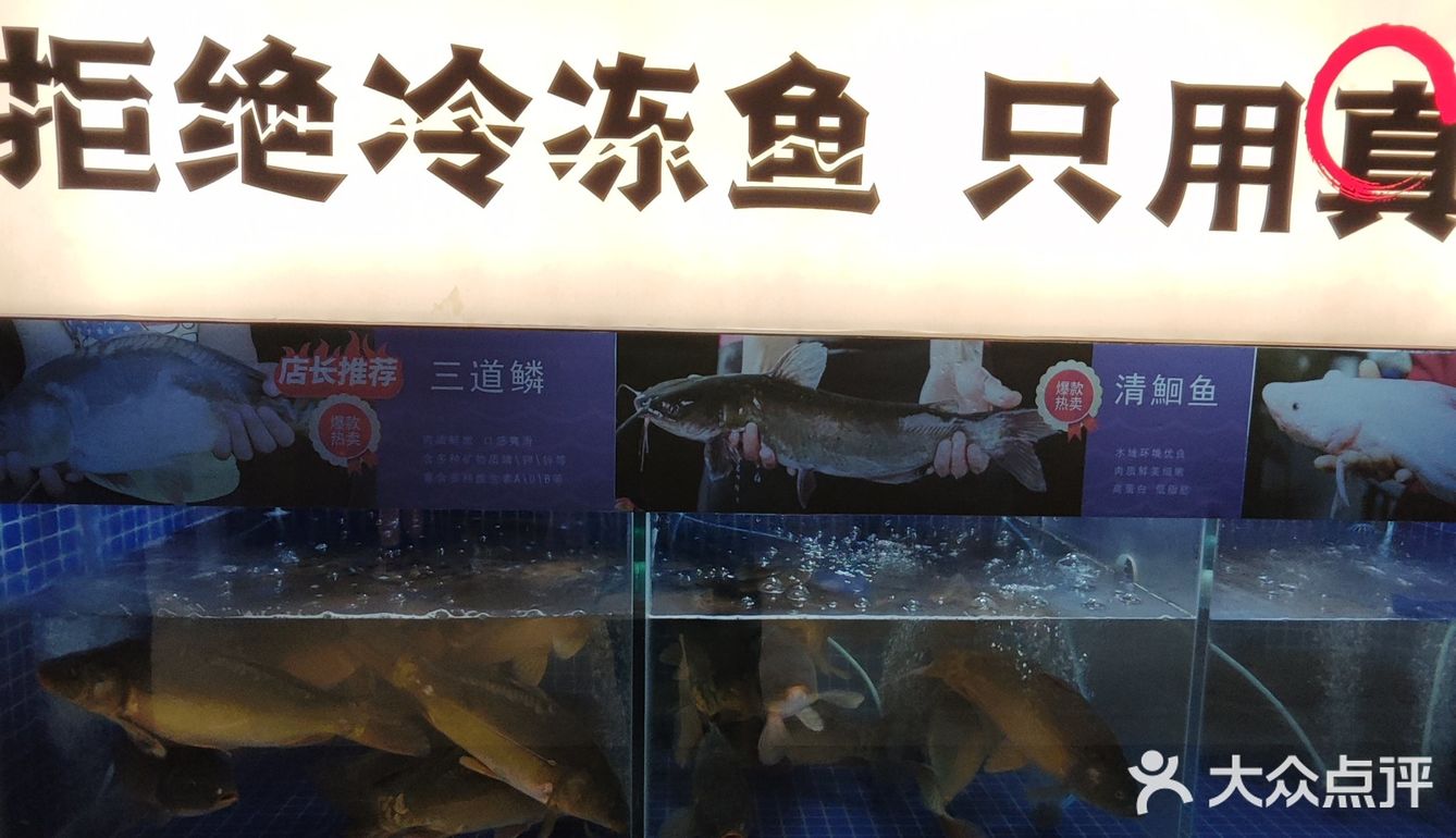 震惊！天花板级别烤鱼！竟然不为人知！
