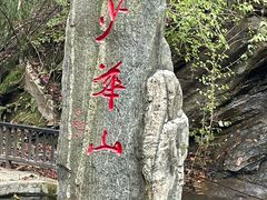 -少华山国家森林公园