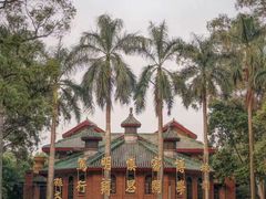 -中山大学学者灵芝(园南路店)