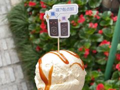 -Dal Cuore 达可芮冰淇淋(陕西北路店)