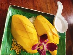 -Jungle Kitchen