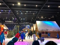 -宁波冰雪大世界(北仑区)