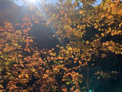 -丹东天桥沟景区