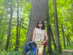 -五营红松林海景区