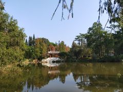 -金山植物公园