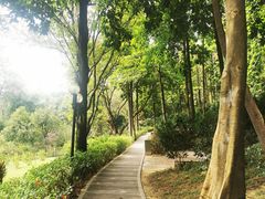-云溪植物园