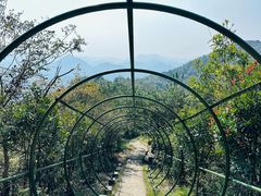 -马仁奇峰