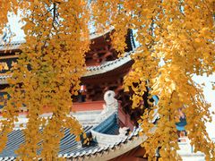 -上海东林寺(金山区)