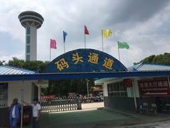 -白洋淀景区